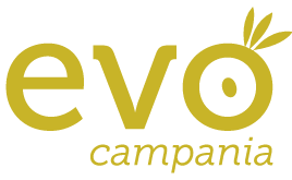logo_evo