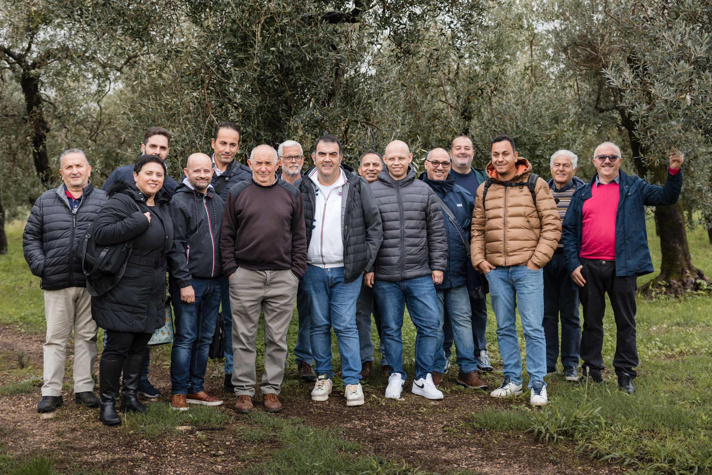 Visita al frantoio – fase di raccolta olive