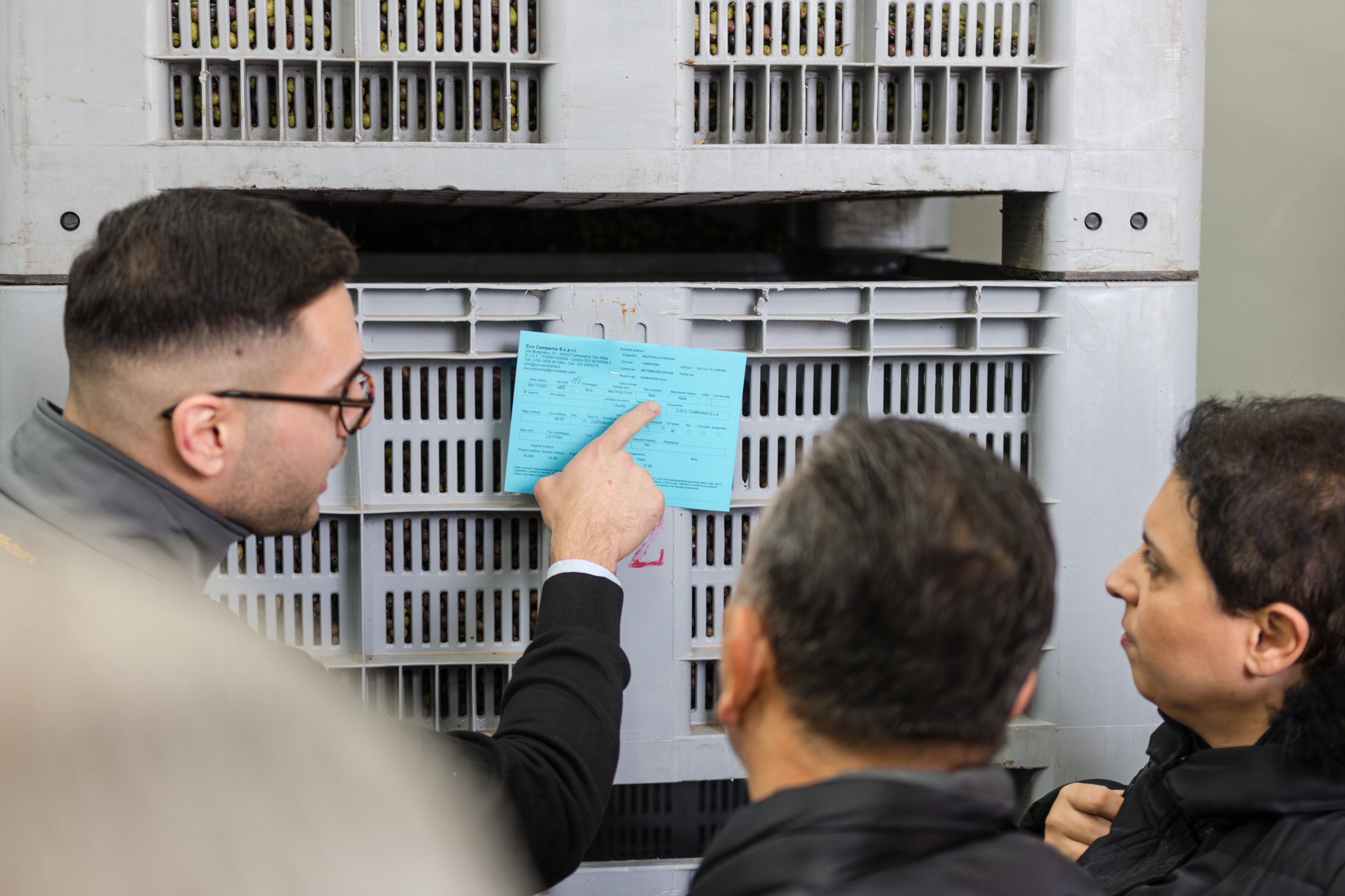 Processo di molitura ed estrazione olio EVO