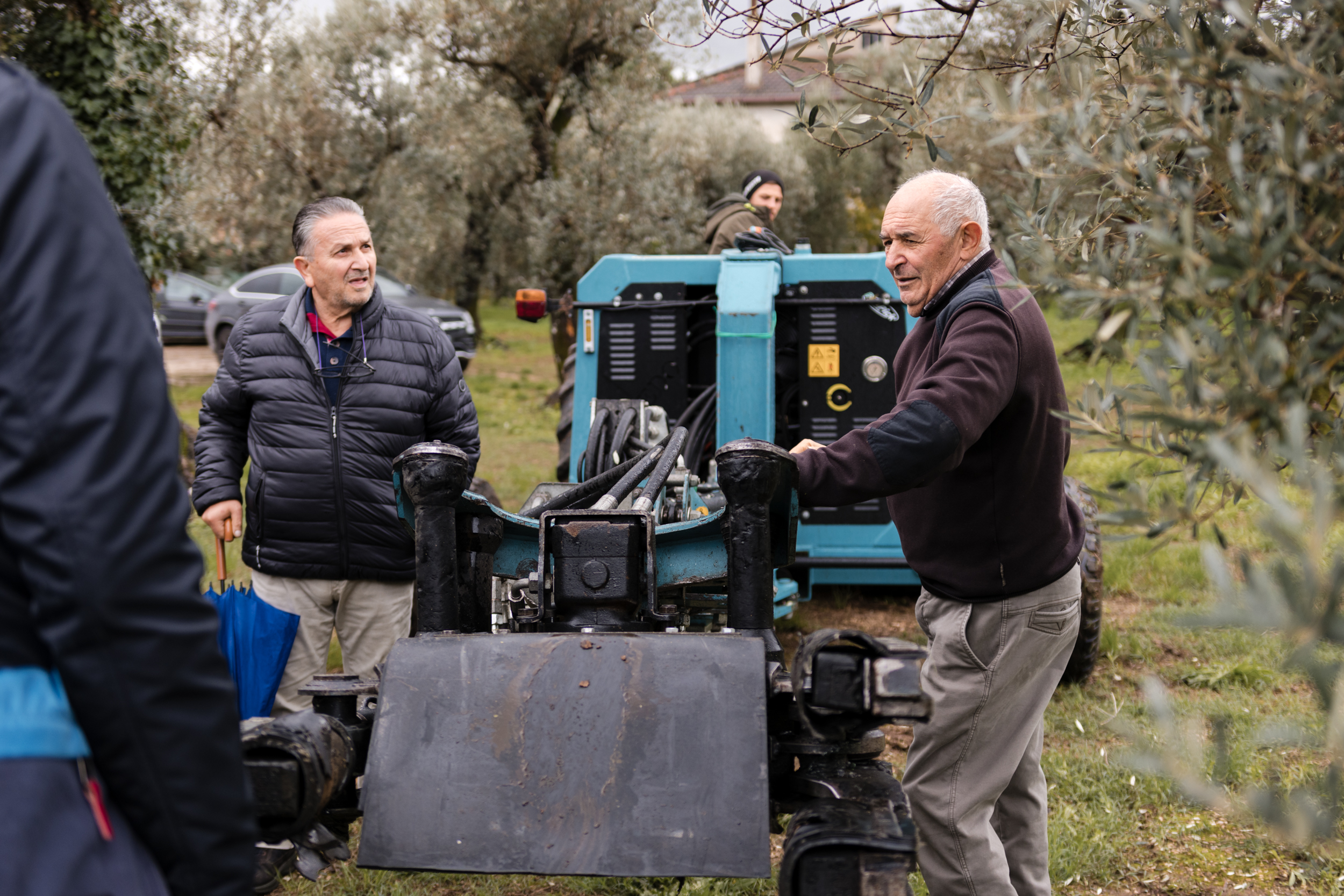 Degustazione olio EVO